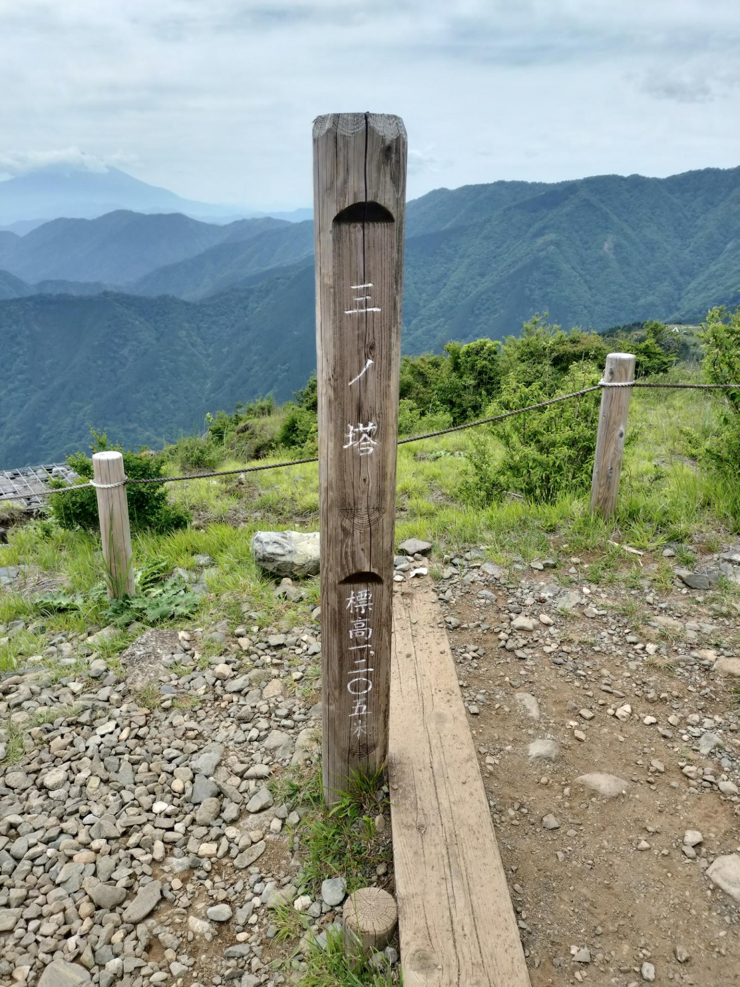 shared image (4)